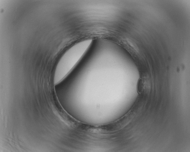 X0000089710408200706210921