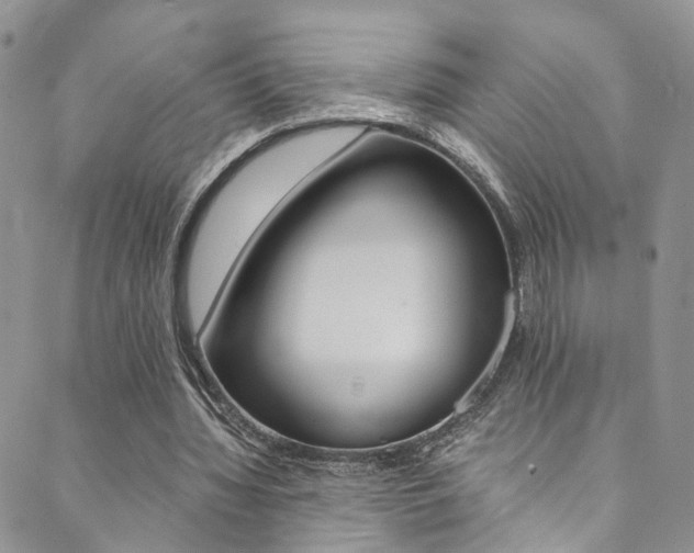 X0000089710436200706210920