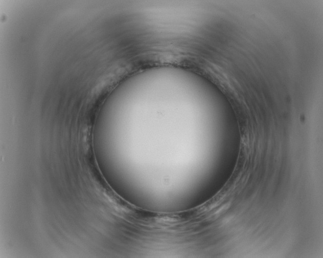X0000089710462200706210920