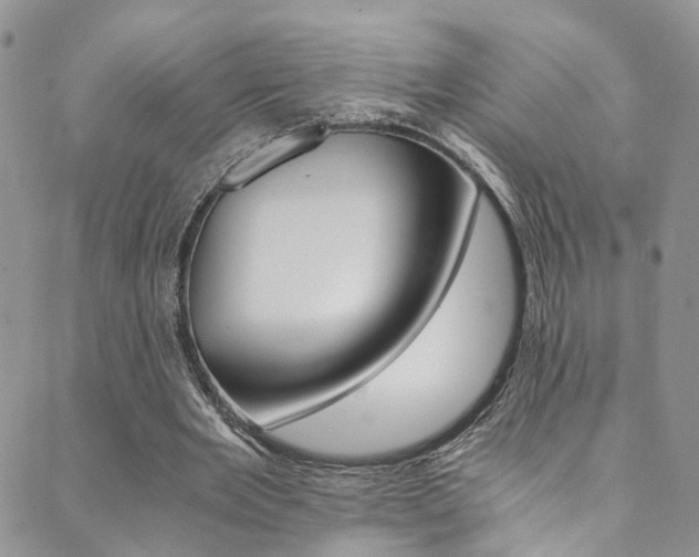 X0000089710485200706210920