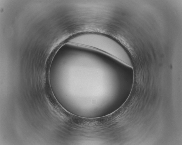 X0000089710488200706210919