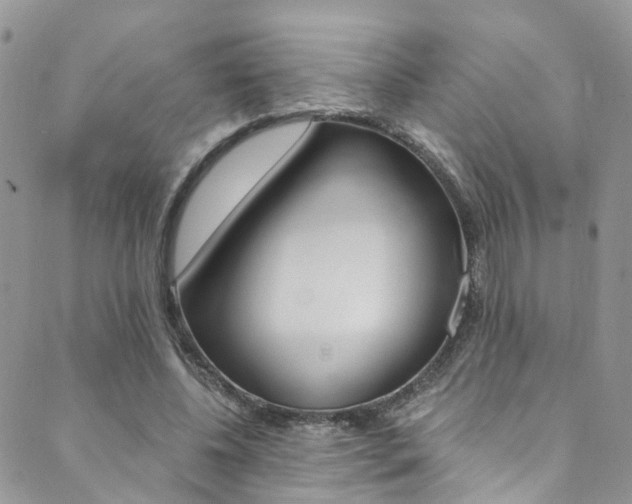 X0000089710540200706210918