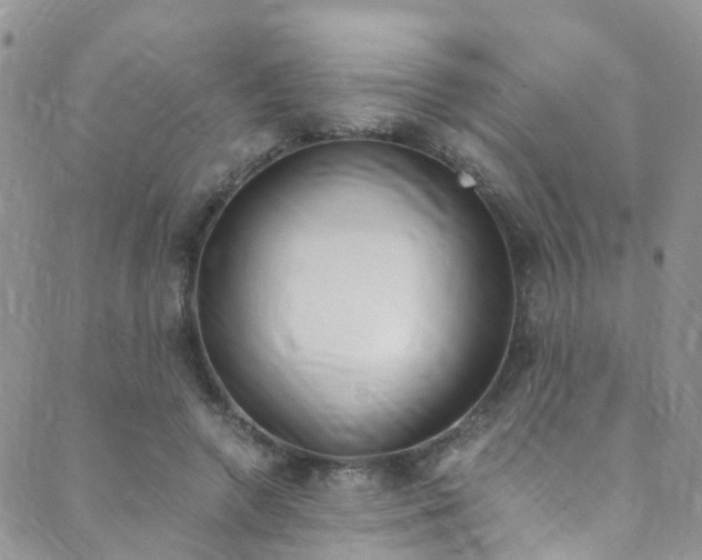 X0000089710546200706210918