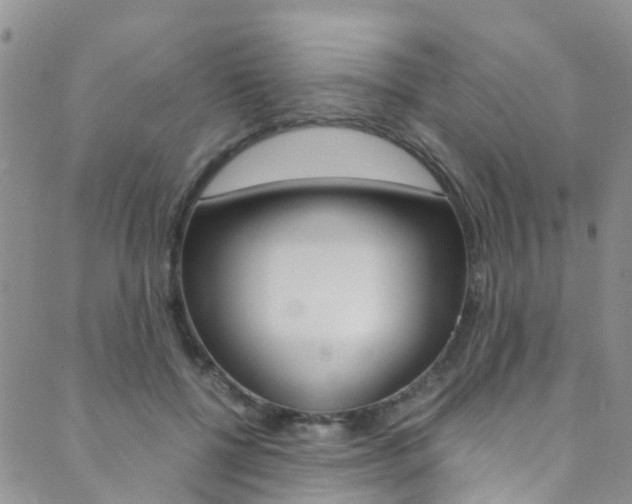 X0000089710552200706210918