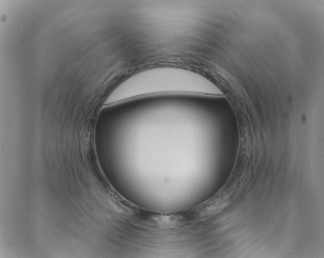 X0000089710558200706210919