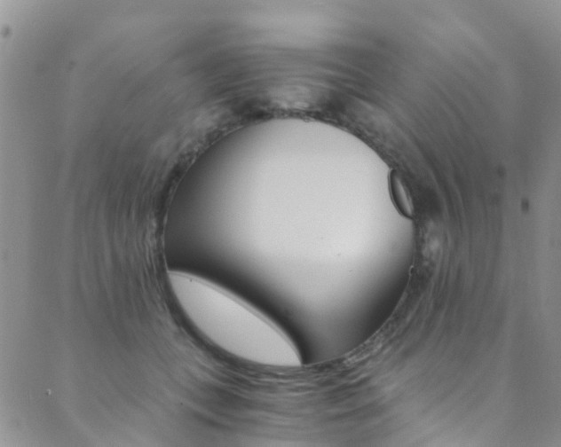 X0000089710559200706210919