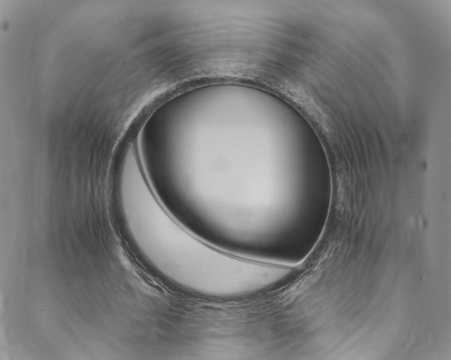 X0000089710580200706210918