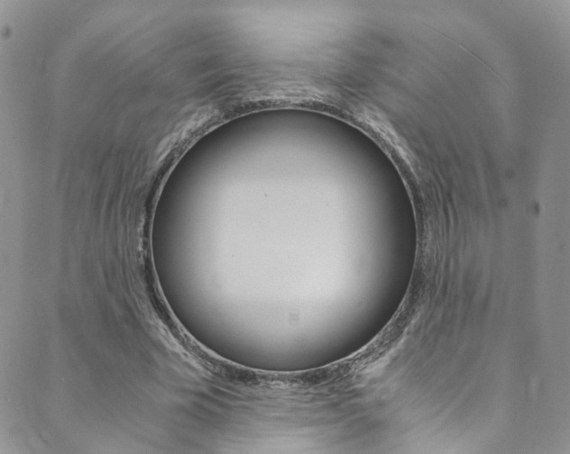 X0000089710585200706210918