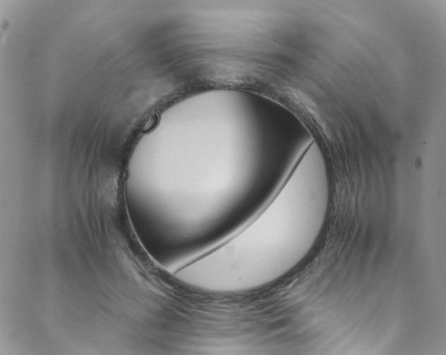 X0000089710596200706210918