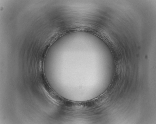 X0000089710598200706210918