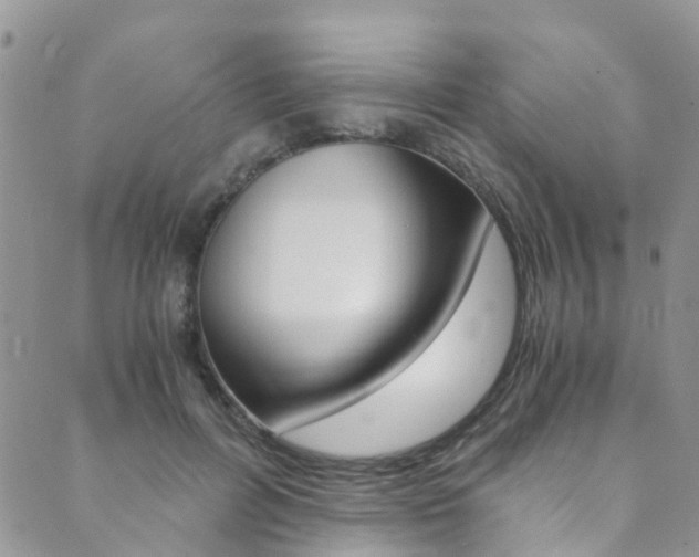 X0000089710600200706210918