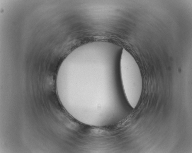 X0000089710614200706210917
