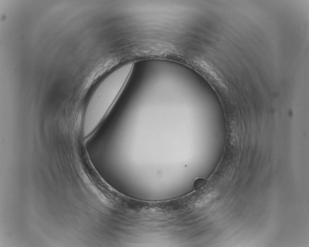 X0000089710634200706210917