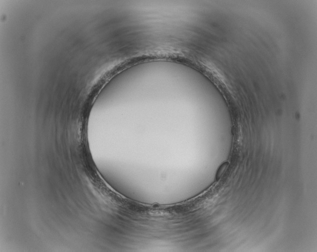 X0000089710636200706210917