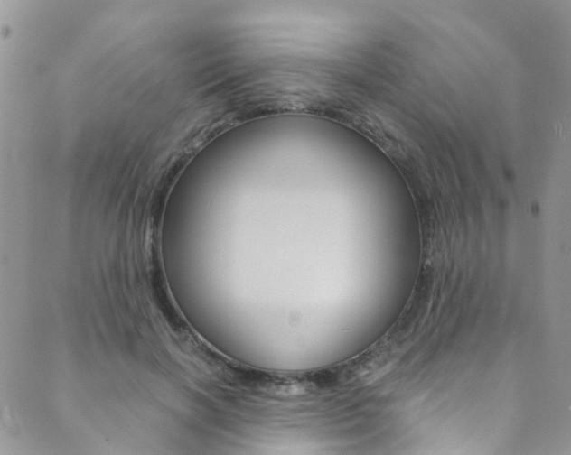 X0000089710646200706210917