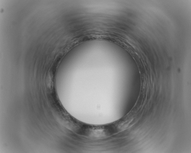X0000089710651200706210917