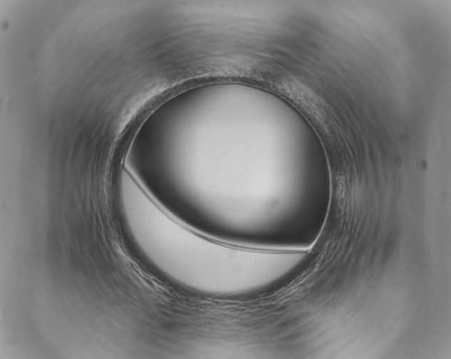X0000089710676200706210916
