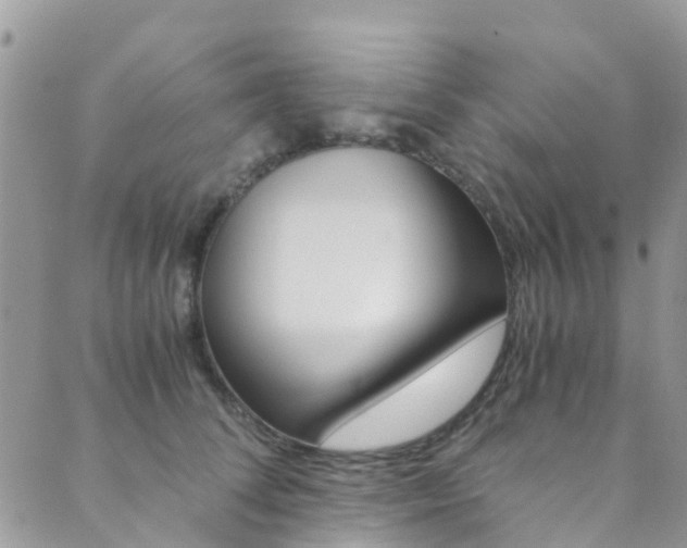 X0000089710708200706210916