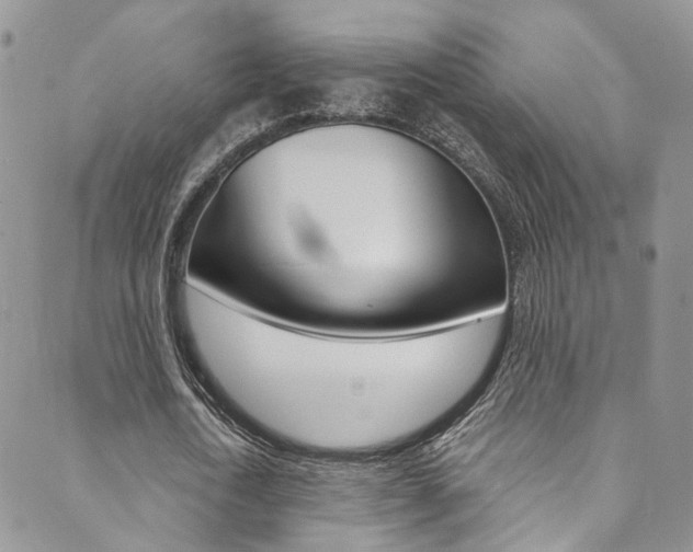 X0000089710722200706210915