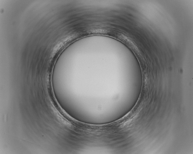 X0000089710725200706210915