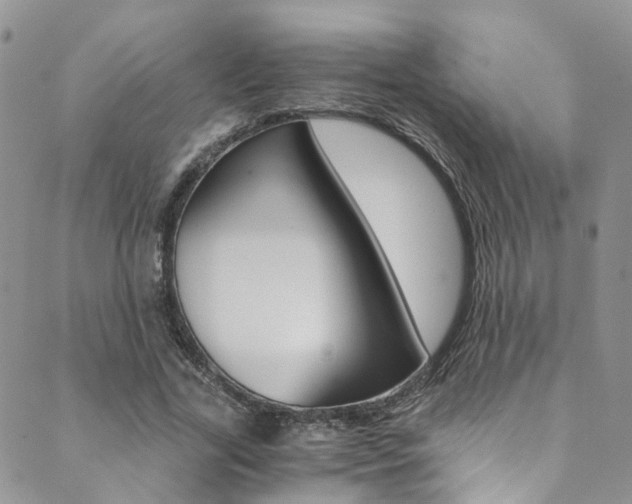 X0000089710731200706210915