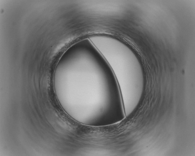 X0000089710732200706210915