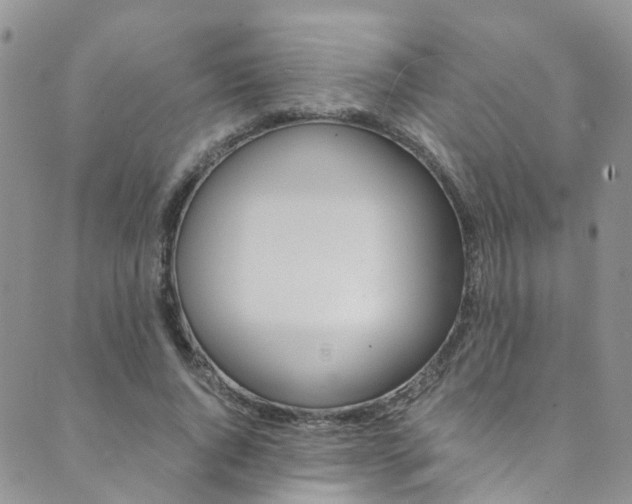 X0000089710736200706210915