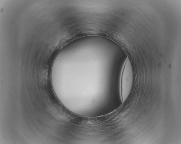 X0000089710739200706210915
