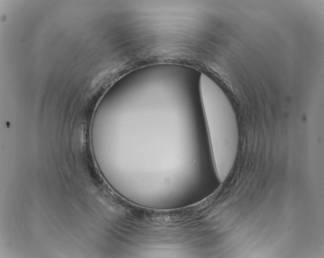 X0000089710740200706210915
