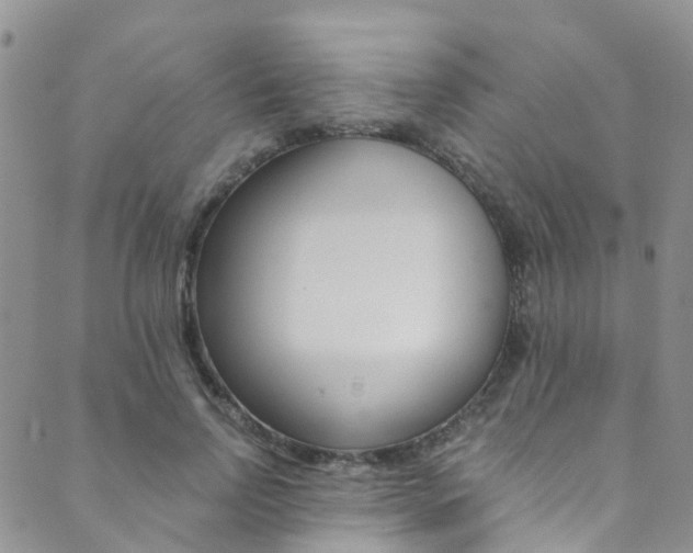 X0000089710742200706210915