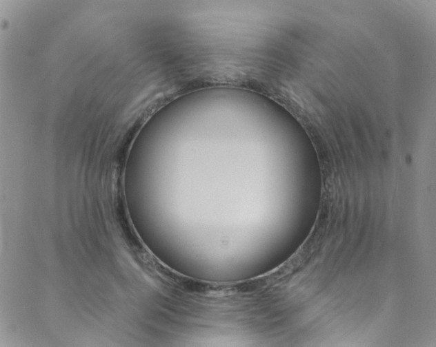 X0000089710744200706210915