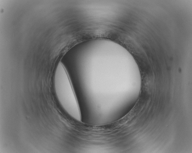 X0000089710746200706210915