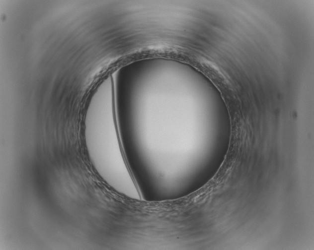 X0000089710776200706210915