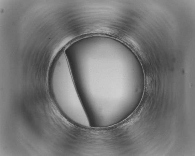 X0000089710780200706210915