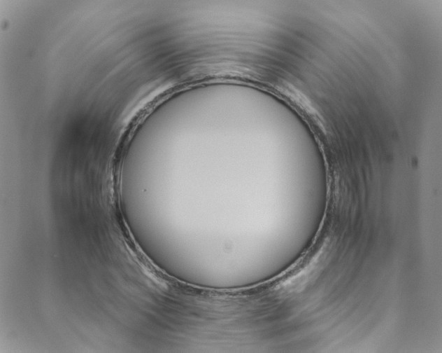 X0000089710782200706210915