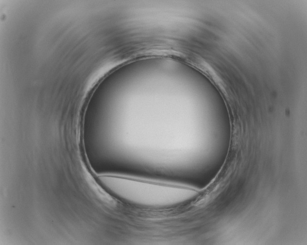 X0000089710795200706210914