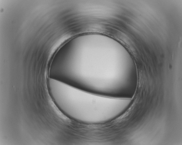 X0000089710796200706210914