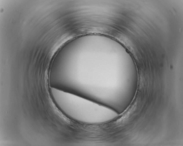 X0000089710798200706210914