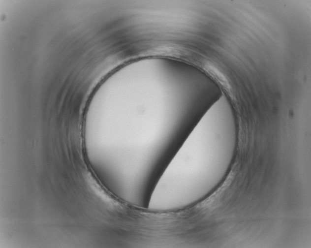 X0000089710800200706210914