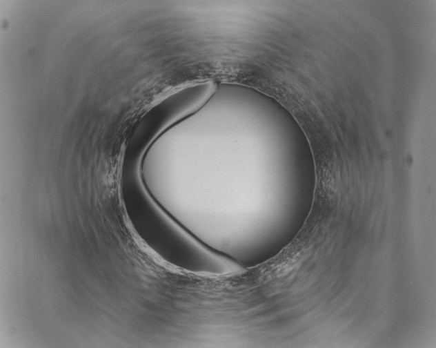 X0000089710818200706210913