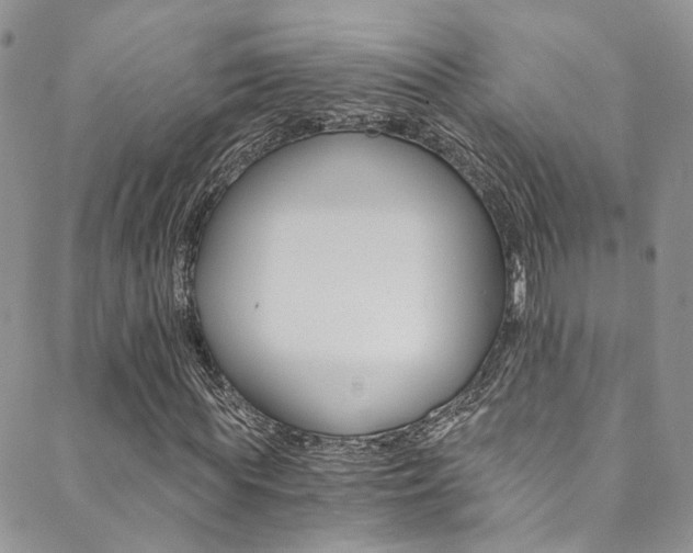 X0000089710819200706210913