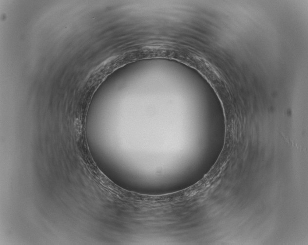 X0000089710821200706210913