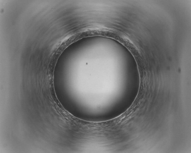 X0000089710822200706210913