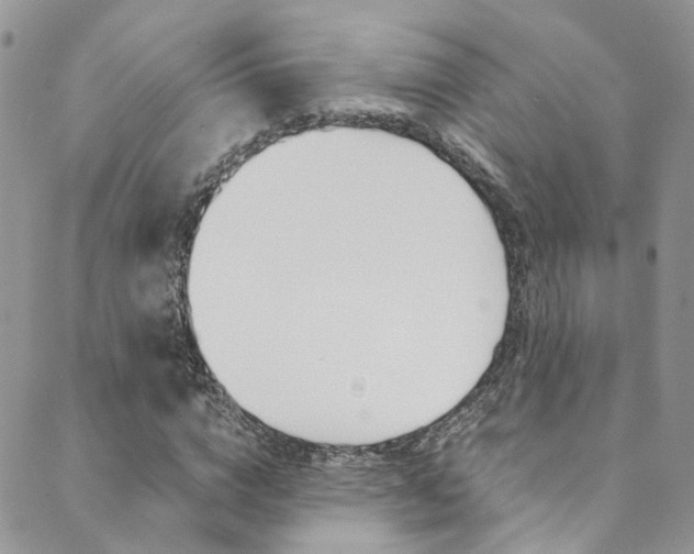 X0000089710824200706210913