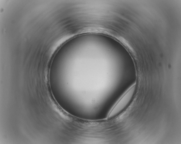 X0000089710846200706210914