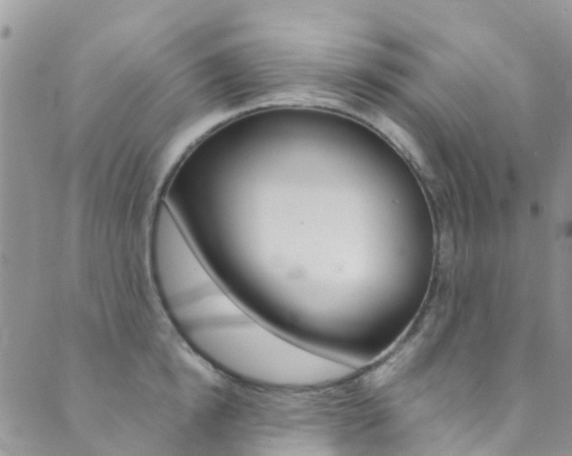 X0000089710854200706210914