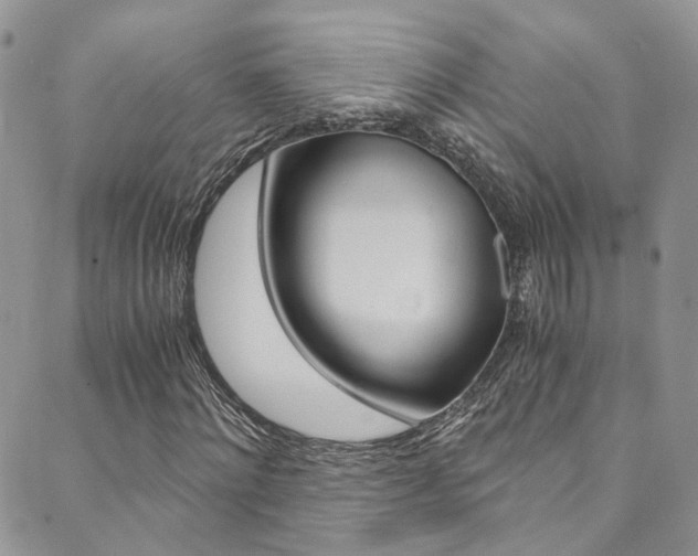 X0000089710868200706210913