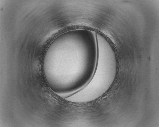 X0000089710872200706210913