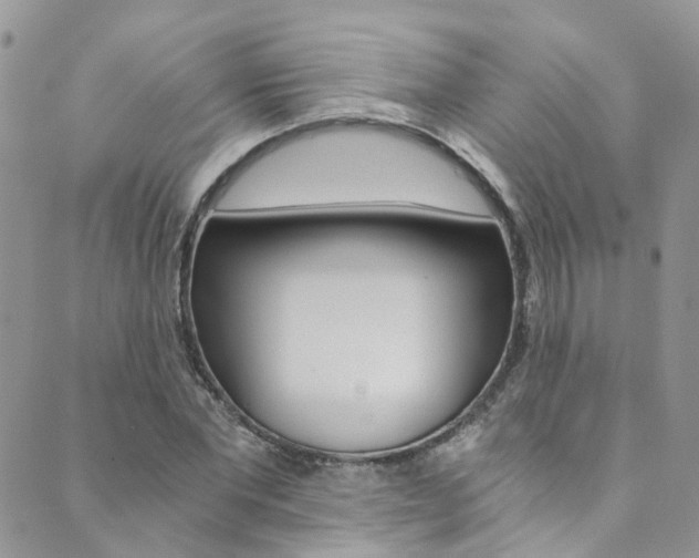 X0000089710877200706210913