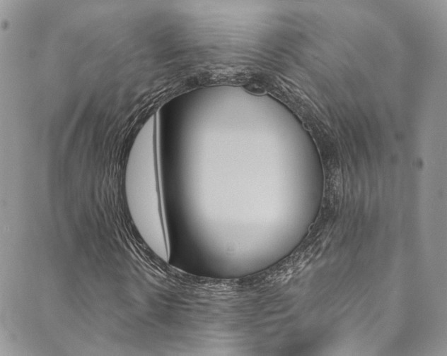 X0000089710914200706210912